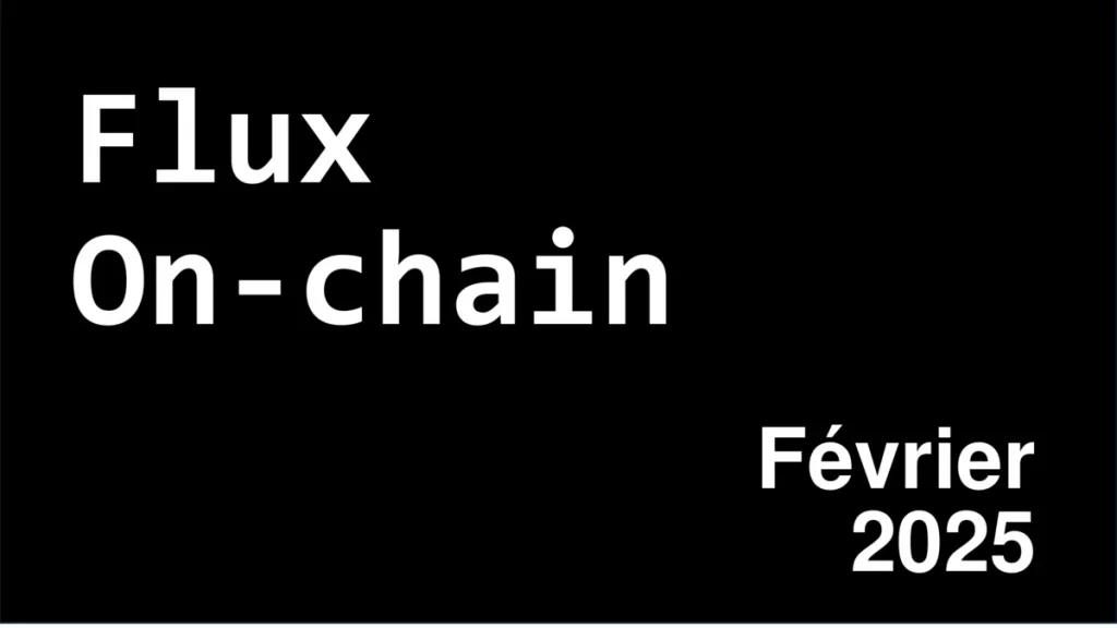 miniature article flux on-chain février 2025