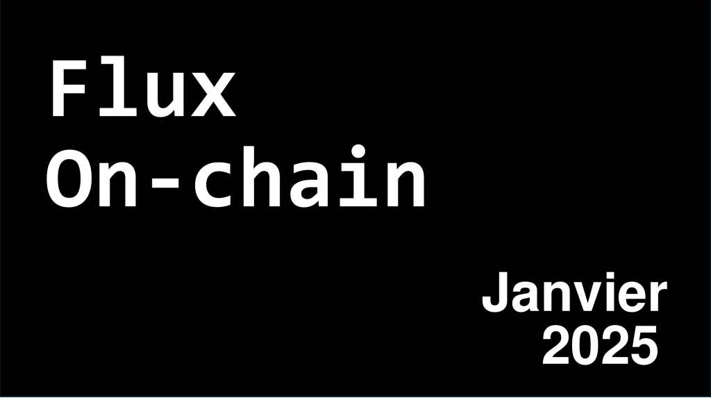 miniature article flux on-chain janvier 2025